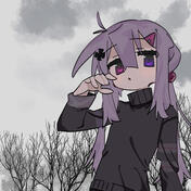 usedcvnt